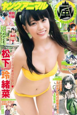 黑狐26